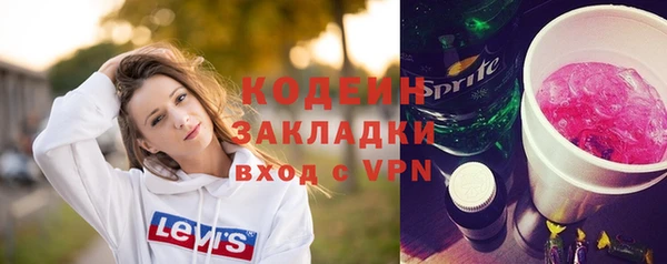 прущие грибы Лабытнанги