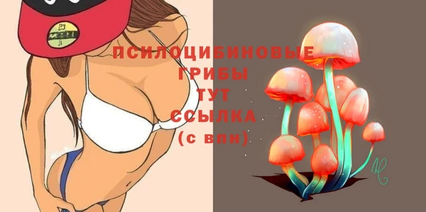 кристаллы Абаза