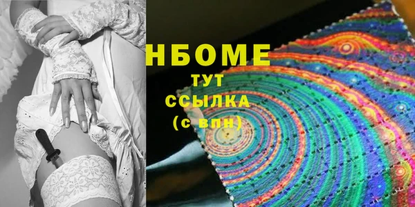 прущие грибы Лабытнанги