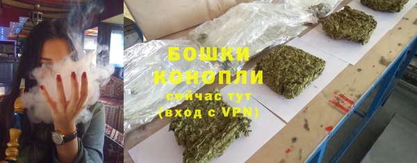 прущие грибы Лабытнанги